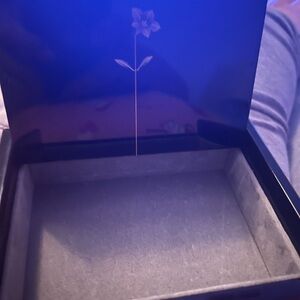 Elegant Black Jewelry Box